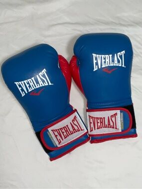 Everlast Powerlock Boxing Gloves